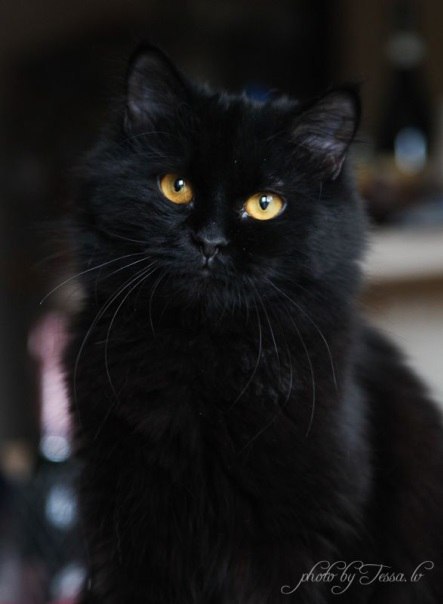   - 26  2015  16:16 - 6