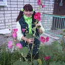 ���� �������, ������ ��������, 67 ��� - ��������� 15 �������� 2015 � ������ ��������� � ��˨��� ������Ż