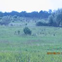 ���� ���������, �����������, 69 ��� - ��������� 20 ���� 2015 � ������ ����������� ����.������� ���.������������ �����, ��������������� ���.���� 2015�