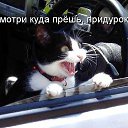 ���� Sakhalin, ���������, 42 ���� - ��������� 9 ������� 2015 � ������ ���� ���� ������