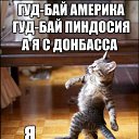 ���� ����, ��������, 41 ��� - ��������� 25 ���� 2015 � ������ ������ ��������