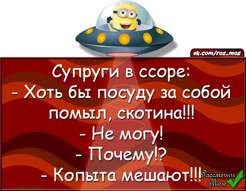 �������� - 23 ������� 2015 � 11:16