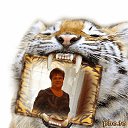 ���� ���� �����, �������, 63 ���� - ��������� 24 ���� 2015 � ������ ���� ����������