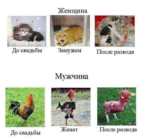 ��� ���� � ����� �� �� - 25 ���� 2015 � 20:08