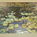  , , 60  -  19  2015     17.05.15.