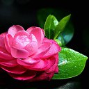 ���� �������, ������ - ��������� 24 ��� 2015 � ������ ���� ����������