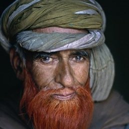 ��������, �����������, 72 ����