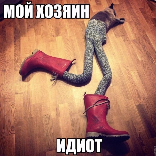       - 25  2015  09:01