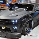 ���� ������, ���������, 50 ��� - ��������� 25 �������� 2015 � ������ ���� ����������