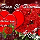 ���� �����, ������������ - ��������� 31 ������� 2015 � ������ ��������� ���� � fotiko.ru�