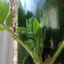 ������� ...���... �����������?! �� ������� ���������� ������: "������ ���������? ��������)))"�