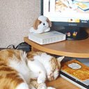 �������� �� ������� �������