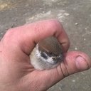 ������� �� ������� ���� ����������