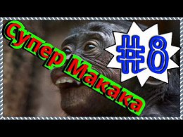 ��� �������� ����������