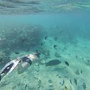  ,  , 61  -  21  2015    