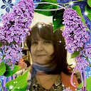 ,  ----  .     .       ,  .         