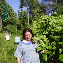 ���� �������, ������ ��������, 67 ��� - ��������� 10 ���� 2015 � ������ ��� ������ � ������Ȼ