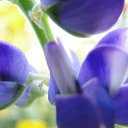 ���� Feruza, ������ - ��������� 20 ��� 2015 � ������ ���� ����������