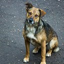 ���� ��������, ���������, 48 ��� - ��������� 29 ���� 2015 � ������ ������ ��������