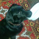 ���� ��������, ������, 73 ���� - ��������� 9 �������� 2015 � ������ ���� ����������