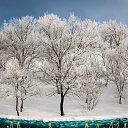 ���� �������, ��������� - ��������� 28 ��� 2015 � ������ ����������� - ��� �����