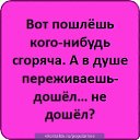 ���� ���������, ������, 41 ��� - ��������� 24 ���� 2015 � ������ ���� ����������