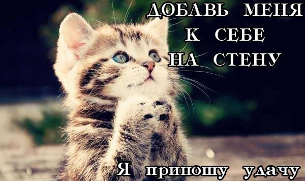    :D - 14  2015  10:37