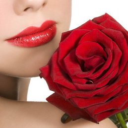 Hawa, ���������