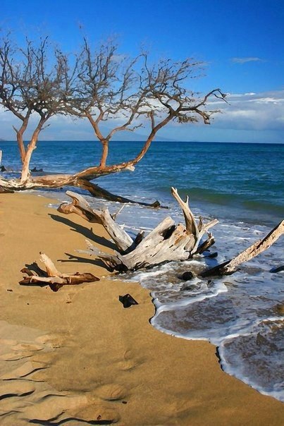 .#nature@travel.blog - 2