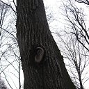 " � ��� ������...." �� ������� ��������.�