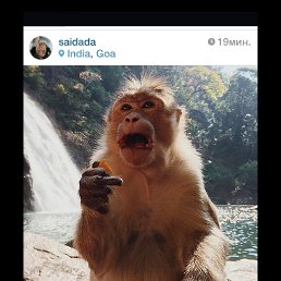 ���� ��������, ��������-������������, 77 ��� - ��������� 30 ���� 2015