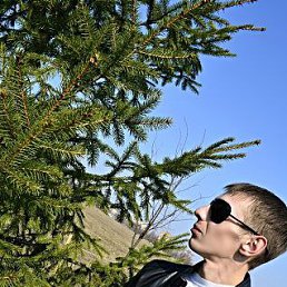 �������, ������, 38 ���