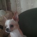 ���� ����, ������, 53 ���� - ��������� 20 ���� 2015 � ������ ���� ����������