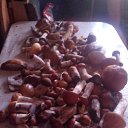 ���� �������, ����� - ��������� 12 ���� 2015 � ������ ���� ����������