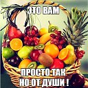���� ������, ������ ��������, 60 ��� - ��������� 31 ������� 2015 � ������ ������ ��������