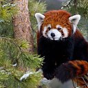 ���� Alehandro, ����������, 53 ���� - ��������� 2 �������� 2015 � ������ ���� ����������