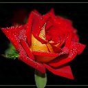 ���� **Markiza*c*250*, ����� - ��������� 4 �������� 2015 � ������ ����������� �����̻