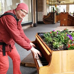 ������, ���������