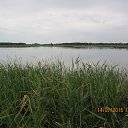  , -- -  19  2015    2015