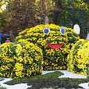 ���� �����, ����, 37 ��� - ��������� 20 ���� 2015 � ������ �����