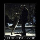 ���� �����, ��������, 36 ��� - ��������� 7 �������� 2015