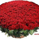 ���� �������, ������ - ��������� 1 �������� 2015 � ������ ������ ��������