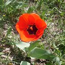 ���� �������, ������, 48 ��� - ��������� 2 ��� 2015 � ������ ������ ��������