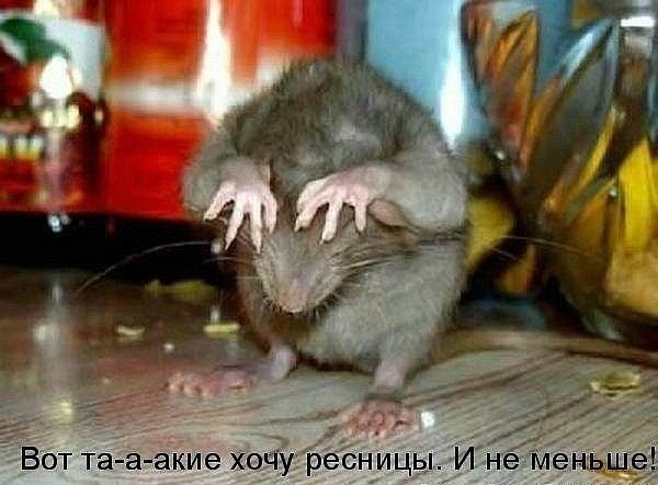   |  |  - 20  2015  21:03