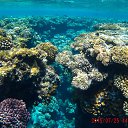  , , 48  -  27  2015   Coral Beach Resort Montazah