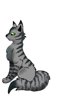 ���� ������, �����-���������, 23 ���� - ��������� 15 ���� 2015