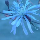 ���� ������, ���������, 66 ��� - ��������� 11 ������� 2015 � ������ ���� ����������