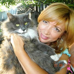 ��������, �������