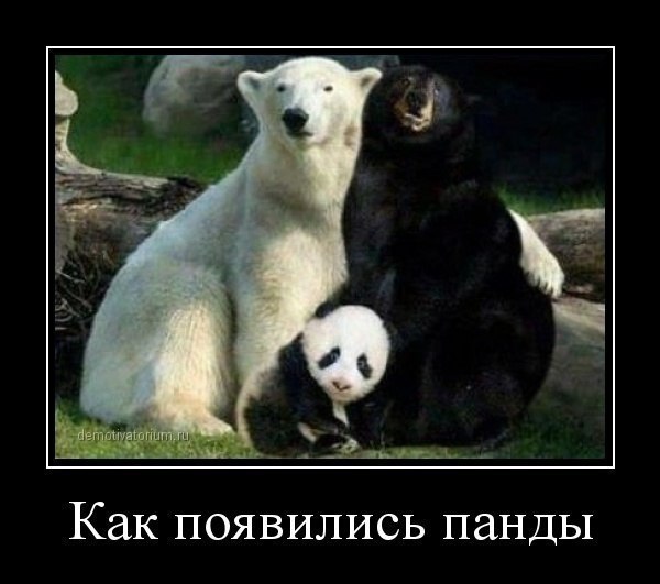 �������� ���� - 12 ��� 2015 � 04:30