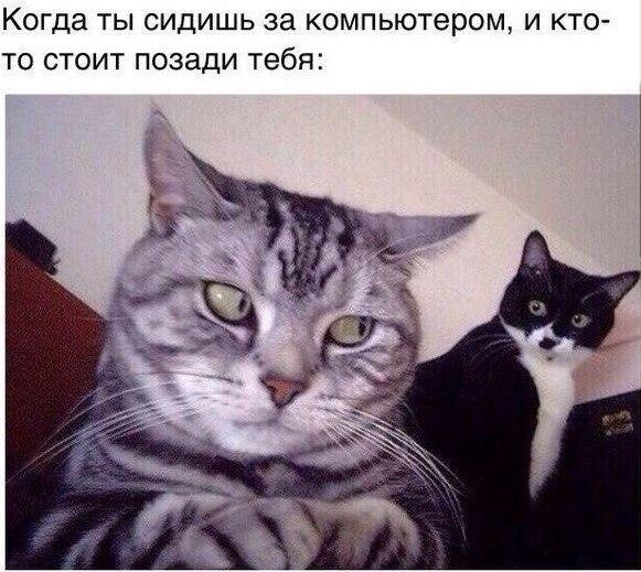    :-) - 27  2015  22:05